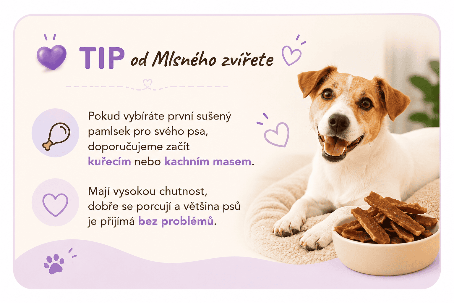 Sušené maso pro psy - tip od mlsného zvířete